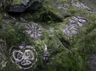 Oeuvre d'art pétroglyphes de Bella Coola en Colombie-Britannique, Canada — Photo de stock