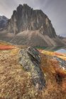 Talus see und herbstliche wiese in bergen von grabstein territorialen park, yukon, canada — Stockfoto