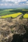 Вид с воздуха на бесплодные земли с сельскохозяйственными угодьями в ландшафте Альберты, Канада . — стоковое фото