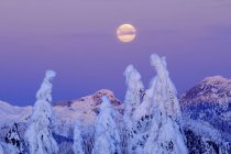 Захід місяця на сході сонця в зимовий період, Провінційний парк Маунт Сеймур, Британська Колумбія, Канада — стокове фото