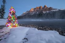 Рождественская елка на берегу реки Боу зимой с Castle Mountain, Национальный парк Банф, Альберта, Канада — стоковое фото