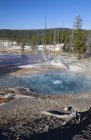 Steaming Firehole spring in Firehole Lake Drive, Yellowstone National Park, Wyoming, USA — Stock Photo