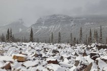 Chaîne Winston Churchill et glissement rocheux en hiver le long de la promenade des Glaciers, parc national Jasper, Alberta, Canada — Photo de stock