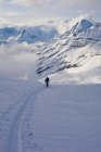 Man following alpine track at Icefall Lodge, Golden, British Columbia, Canada — стокове фото