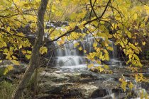 Flowing cascade of Fifteen Mile Creek and Martins Falls, Rockway, Ontario, Canada — Stock Photo