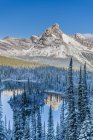 Cathedral Mountain reflecting in Mary Lake in Yoho National Park, British Columbia, Canada — Stock Photo