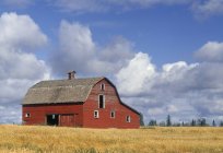 Ancienne grange en bois dans des terres agricoles près de Devon, Alberta, Canada — Photo de stock