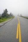 Road along Victoria Lake in fog near Western Head, Nova Scotia, Canada. — Stock Photo