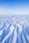 Viento barrido nieve drifts en frozen prairie of Southern Saskatchewan, Canada - foto de stock