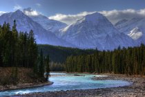 Rio Athabasca ao longo do Columbia Icefields Parkway no Parque Nacional Jasper, Alberta, Canadá — Fotografia de Stock