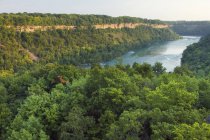 La rivière Niagara dans le paysage de la réserve naturelle de Niagara Glen, Niagara Falls, Ontario, Canada — Photo de stock