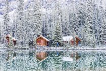 Neve fresca em cabines no Lago Ohara, Parque Nacional Yoho, Colúmbia Britânica, Canadá — Fotografia de Stock