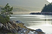 Природный муниципальный парк на границе реки Св. Лаврентия, Шарлевуа, Квебек, Канада — стоковое фото