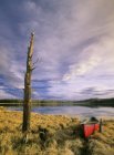 Canoa amarrada en la costa cubierta de hierba del lago Boggy cerca de Cremona, Alberta, Canadá - foto de stock