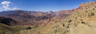 Man hiking in valley by Colorado River, Grand Canyon, Arizona, Stati Uniti — Foto stock