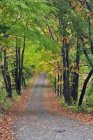 Obstgarten Hügelstraße im Herbst, Pelham, Ontario, Kanada — Stockfoto
