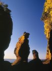 Formations rocheuses de Hopewell Rocks sur la rive de la baie de Fundy, parc provincial Hopewell Rocks, Nouveau-Brunswick, Canada — Photo de stock