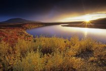 Pond and autumnal foliage at sunrise in Blackstone Uplands near Dempster Highway, Yukon , Canada. — Stock Photo