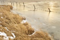 Escumalha congelada e cerca rural perto de Cochrane, Alberta, Canadá — Fotografia de Stock