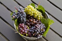 Uvas maduras Gewurtztraminer, Pinot Noir, Merlot y Chardonnay apiladas en cubo sobre mesa de madera
. - foto de stock
