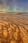 Alghe termofile coloranti Grand Prismatic Spring, Midway Geyser Basin, Yellowstone National Park, Wyoming, USA — Foto stock