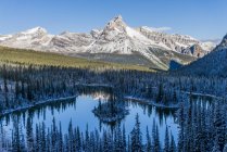 Cathedral Mountain y Mary Lake en el Parque Nacional Yoho, Columbia Británica, Canadá - foto de stock