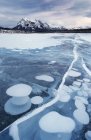 Frozen Abraham Lake in winter, Kootenay Plains, Bighorn Wildland, Alberta, Canadá — Fotografia de Stock