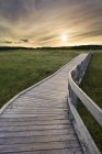 Holzpromenade in Port Kapuze Station Strand provinziellen Park, Cape Breton, Nova Scotia, Kanada. — Stockfoto