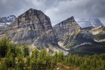 Pharoh vette e verdi boschi nella zona di Egitto Lago del Parco nazionale di Banff, Alberta, Canada. — Foto stock