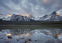 Lago superiore degli uccelli acquatici con foresta e Monte Chephren nel Banff National Park, Alberta, Canada — Foto stock