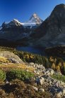 Mount Assiniboine in valley of Mount Assiniboine Provincial Park, British Columbia, Canada. — Stock Photo