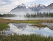 Elliot peak reflektiert in whitegoat sees, bigorn wildland, alberta, canada — Stockfoto