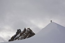 Skieur de l'arrière-pays sur une colline de neige avant le largage, Icefall Lodge, Golden, Colombie-Britannique, Canada — Photo de stock