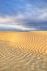 Dunas de areia padrão natural de Great Sandhills, Saskatchewan, Canadá . — Fotografia de Stock