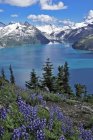 Lago de montaña del Parque Provincial de Garibaldi, Columbia Británica, Canadá - foto de stock