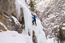 Young man ice-climbing in Banff National Park near Banff, Alberta, Canada. — Stock Photo