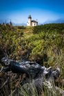 Coquille River lighthouse on green coastal grass in Oregon, USA — Stock Photo