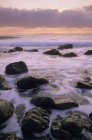 Puesta de sol en la costa rocosa de Mistaken Point, Península de Avalon, Canadá . - foto de stock