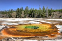 Piscina cromatica variopinta del bacino superiore del Geyser, Parco nazionale di Yellowstone, Wyoming, Stati Uniti d'America — Foto stock