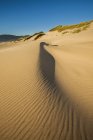 Dunas de areia na praia no Nehalem Bay State Park, Oregon, EUA — Fotografia de Stock
