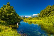Unrecognizable person fishing in Spring Creek, New Zealand — Stock Photo