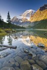 Гора Едіт Cavell відображення в Cavell озеро в Національний парк Джаспер, Альберта, Канада. — стокове фото