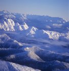 Montañas Costeras y árboles cubiertos de nieve en Columbia Británica, Canadá . - foto de stock