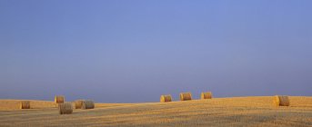 Fardos redondos em campo perto de Cochrane, Alberta, Canadá . — Fotografia de Stock
