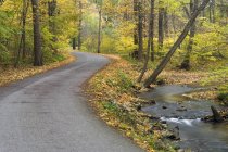 Sulphur Springs road in forest of Twelve Mile Creek, Pelham, Ontario, Canadá - foto de stock