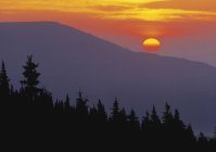 Закат над лесами и горами в парке Уиллмор Уайлдернесс, Альберта, Канада — стоковое фото