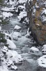 Snowy creek inside canyon near Manning Park in British Columbia, Canada. — Stock Photo
