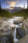 Річка тече в скелі Mistaya Каньйон, Banff Національний парк, Альберта, Канада. — стокове фото