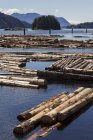 Log booms flutuando no mar em Kendrick Arm log dump na costa oeste da Colúmbia Britânica, Canadá . — Fotografia de Stock