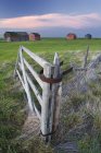 Velhos edifícios rústicos e portão de madeira no campo perto de Leader, Saskatchewan, Canadá — Fotografia de Stock